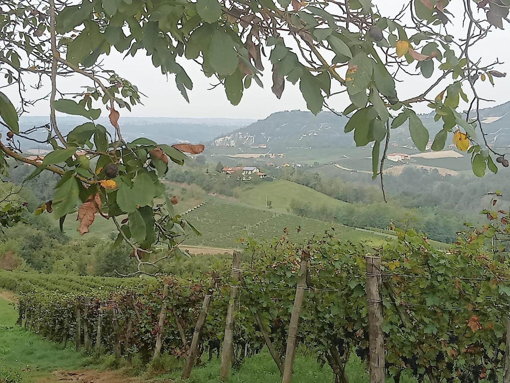 Agriturismo Bric Di Gai Monforte dʼAlba Zewnętrze zdjęcie