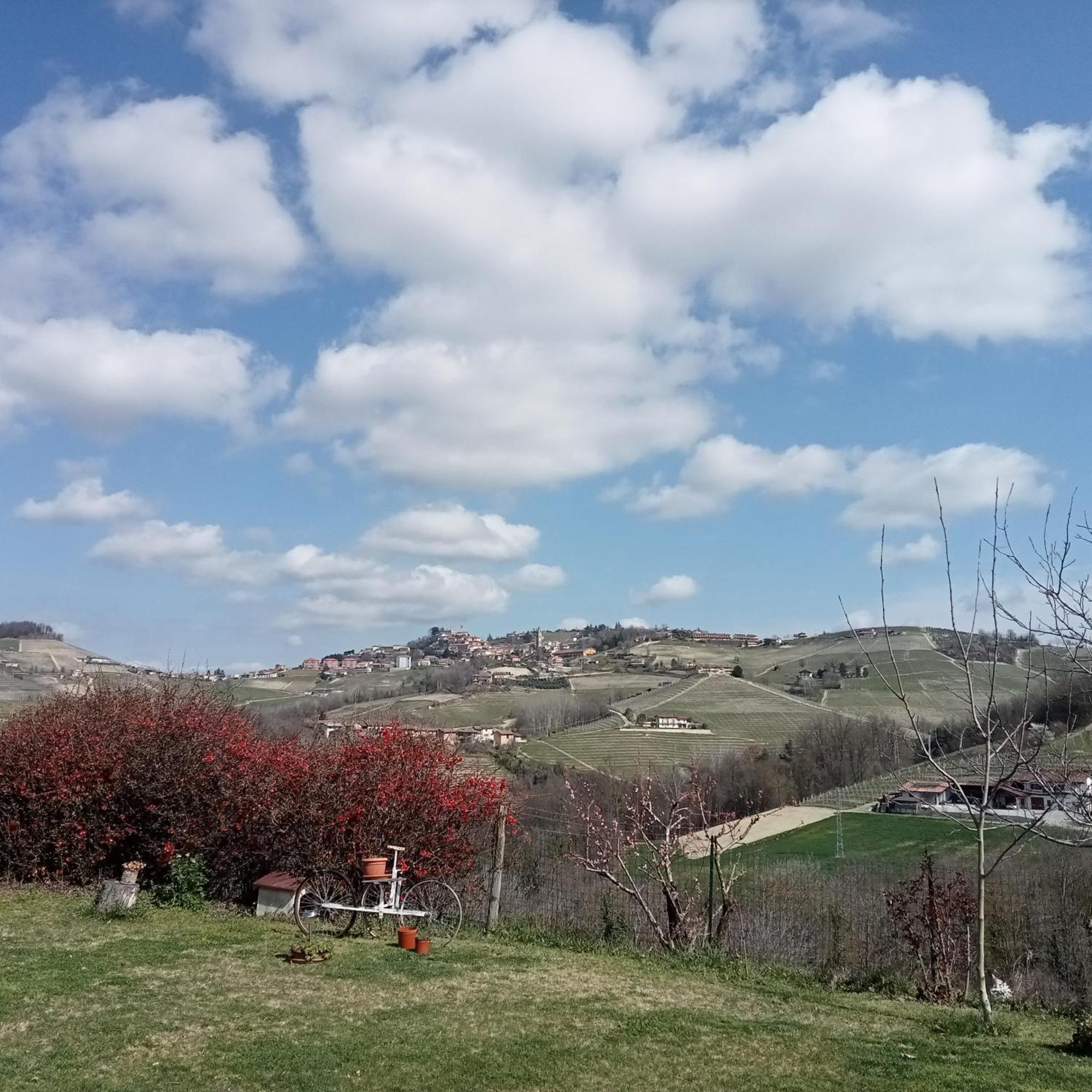 Agriturismo Bric Di Gai Monforte dʼAlba Pokój zdjęcie