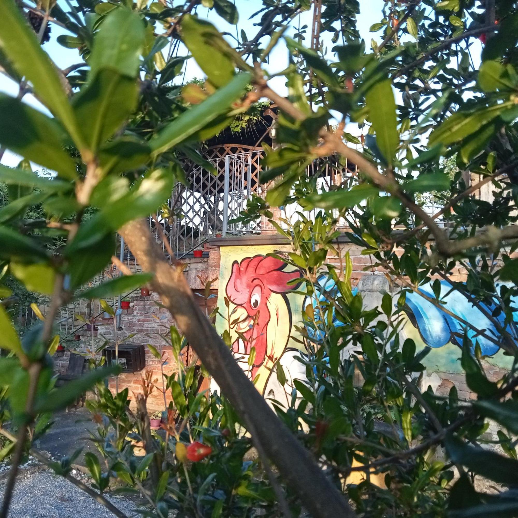 Agriturismo Bric Di Gai Monforte dʼAlba Zewnętrze zdjęcie