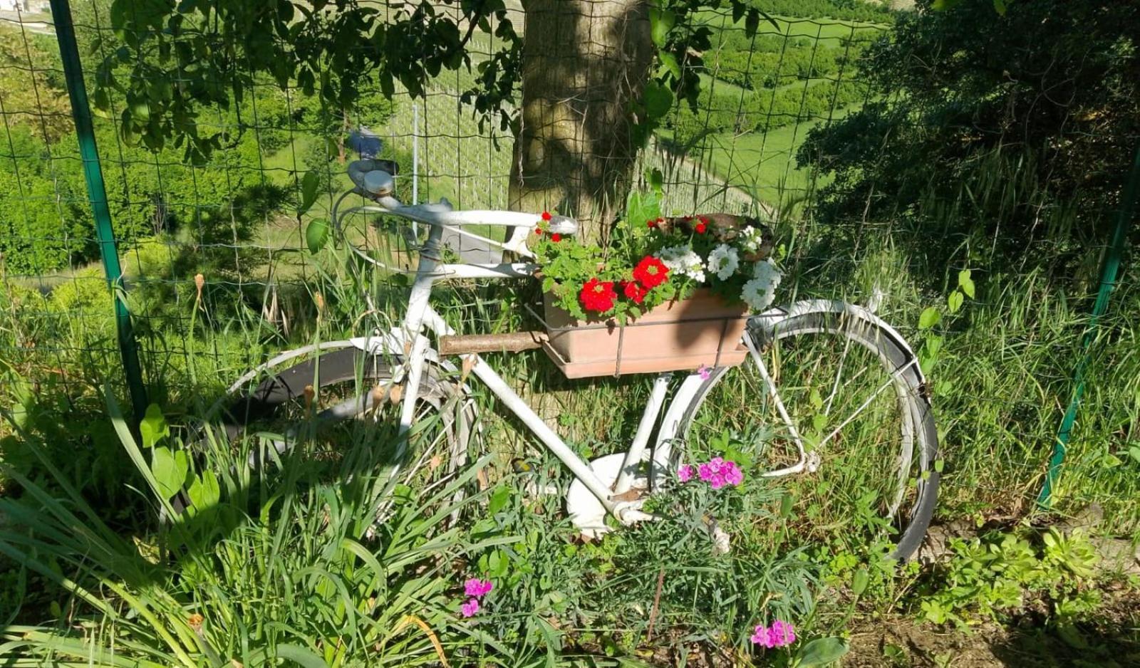 Agriturismo Bric Di Gai Monforte dʼAlba Zewnętrze zdjęcie