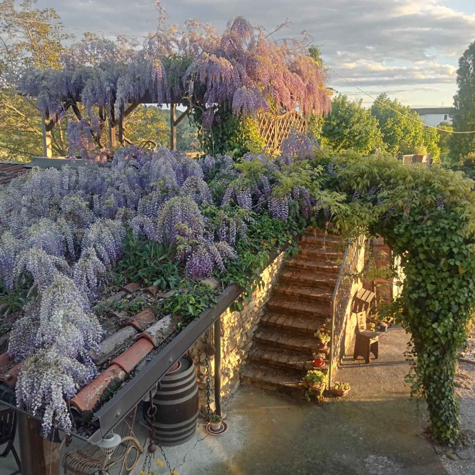 Agriturismo Bric Di Gai Monforte dʼAlba Zewnętrze zdjęcie